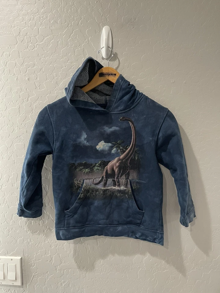 Sudadera con capucha de dinosaurio vintage The Mountain “Brontosaurus” juvenil contenedor pequeño 1 Foto 1 de 4