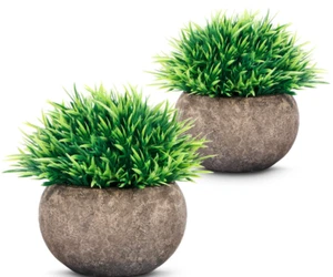 Mini Artificial Plants in Pots-Faux Greenery for Home,Office,Shelf & Table Decor - Picture 1 of 8