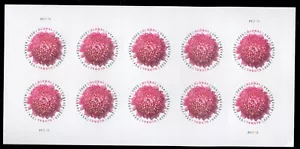 EE. UU. 5460. Crisantemo (Global Forever Rate). Hoja de 10. Estampillada sin montar o nunca montada. 2020 - Imagen 1 de 1