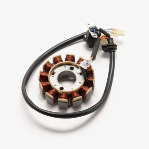 Scooter Stator for LJ50QT-9L-E5 (STTR096) BNIB GENORATOR MAGNETO ROTOR POWER - Picture 1 of 1