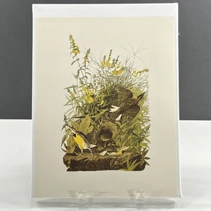 Audubons Meadow Lark Birds of America Plate 111 Reproduction Color Print 8 x 11 - Picture 1 of 2