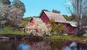 Frühling auf einer Farm in Vermont -- Postkarte - Bild 1 von 2