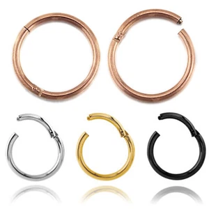 A Pair Titanium Ear Nose Lip Ring Hoop Piercing Segment Clicker SLEEPER EARRINGS - Picture 1 of 8