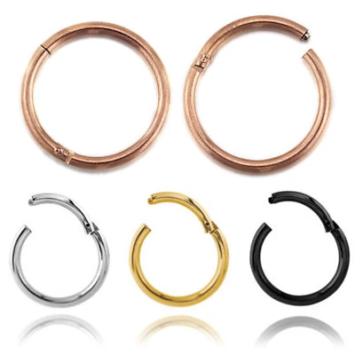 A Pair Titanium Ear Nose Lip Ring Hoop Piercing Segment Clicker SLEEPER EARRINGS - Image 1 of 4