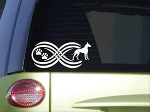 Tribal Great Dane Infinity Sitcker *I779* 8.5 inch wide decal - Imagen 1 de 1