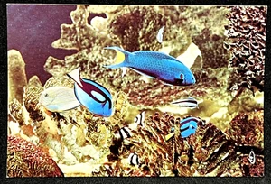 New England Aquarium Central Warf Boston Massachusetts - Postcard #1 - Picture 1 of 2