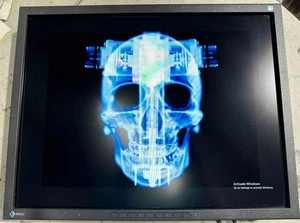 Eizo Flexscan S2133 21 Inch Monitor 1600x1200 Diagnostic Display - Picture 1 of 1
