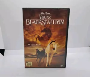 Walt Disney - Young Black Stallion (DVD, 2004) Literary Collection - Picture 1 of 4
