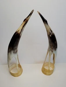 Amazing Unique Eclectic Artist Art Carved Pair Set Bird Sculptures Horn Artwork - Picture 1 of 15