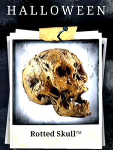 tekky RARE halloween decorations brown rotted skull #90028 - Picture 1 of 6