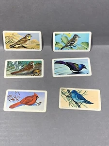 BROOKE BOND Birds of North America Red Rose Tea and Coffee Lot Of 6 Tea Cards - Picture 1 of 6
