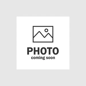 2019 Topps Fire Autographs Green #FAGH Garrett Hampson 12/75 RC Colorado Rockies - Picture 1 of 1