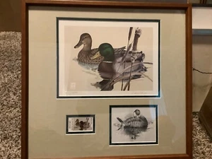 FIRST OF STATE 1981 TEXAS DUCK STAMP & PRINT LARGE PENCIL DRAWING HAYDEN - Picture 1 of 7