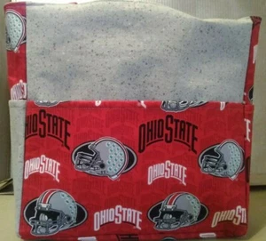 Ohio State Buckeye Brutus Scarlet Gray Purse/Project Travel Bag Handmade 12x12 - Picture 1 of 8