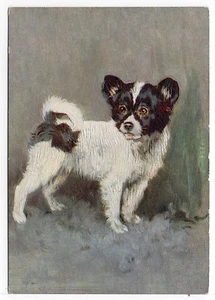 PAPILLON 1930'S DE RESZKE OUR PUPPIES DOG ART POSTCARD CIGARETTE CARD - Picture 1 of 1