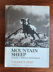 Mountain Sheep A Study in Behavior and Evolution Photos Geist 1971 - Picture 1 of 10