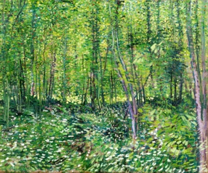 Trees and Undergrowth By Vincent Van Gogh Giclee Archival Fine Art Paper Repro - Picture 1 of 2