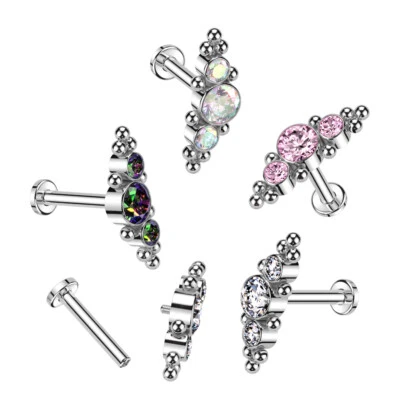 Hermoso Pendiente Roscado Internamente Titanio Grado Implantante Racimo Parte Trasera Plana Foto 1 de 4