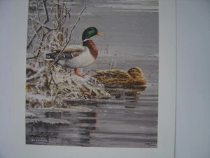 Scott Zoellick FROSTY MORNING MALLADS Hand Signed Limited Edition Print w/ COA - Picture 1 of 1