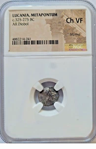 LUCANIA METAPONTIUM DIOBOL - Picture 1 of 6