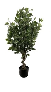 Künstlicher 100cm Blatt Realistischer Künstlicher Ficus Baum Ficus Silber Kurve Pflanzgefäß - Bild 1 von 6