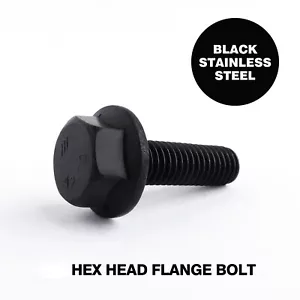 BLACK STAINLESS STEEL HEX HEAD FLANGE SCREWS BOLTS - Picture 1 of 8