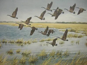 Maynard Reece Winging South Canada Geese Mini Art Print - Picture 1 of 1