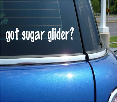 ¿Tienes planeador de azúcar? CALCOMANÍA COCHE PARACHOQUES PEGATINA VINILO BROMA DIVERTIDA VENTANA Foto 1 de 3