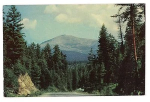 MOUNTAIN ROADWAY durch die Pinien Straße Bäume möglicherweise WASHINGTON Postkarte WA  - Bild 1 von 2