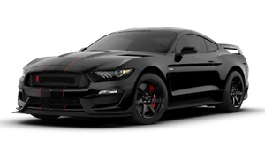 2019 Mustang Shelby Cobra GT350R GARAGE METAL SIGN 23"x10" Shadow Black Stripe - Bild 1 von 5
