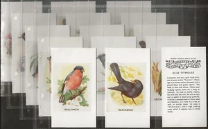 OBSERVERS PICTURE CARDS-FULL SET- BIRDS 1960'S (P32 CARDS) EXCELLENT+++ - Picture 1 of 1