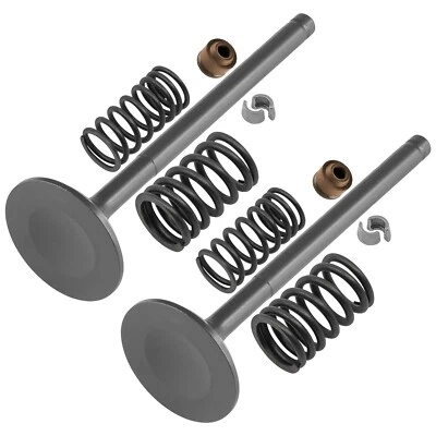 Caltric Exhaust & Intake Valve Kit For Polaris Sawtooth 200 2006-2007 / 0452384 — 第 1/4 张图片