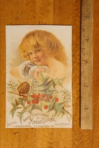 Antique Victorian Trade Card Marshalltown Iowa - Picture 1 of 3