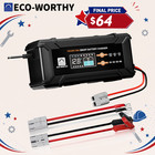 ECO-WORTHY 12V/24V 20A  Lithium LifePO4 Battery Charger 14.6V Maintenance