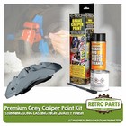 Premium Grey Brake Caliper Drum Paint Kit For Lotus High Gloss Finish