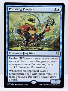 Pollywog Prodigy - Bloomburrow Commander - Blue Creature Rare MTG - Picture 1 of 3