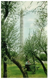 Fort Meigs Monument Perrysburg Ohio OH Man Reading SOHIO Vintage Chrome Postcard - Picture 1 of 3