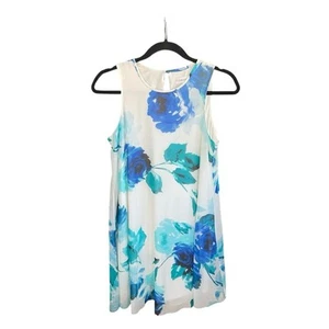 Calvin Klein Watercolor Floral Sleeveless Lined Trapeze A-Line Dress Size 6 - Picture 1 of 8