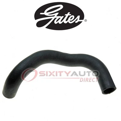 Gates Lower Radiator Coolant Hose for 1957 Nash Rambler 3.2L L6 - Antifreeze jm Foto 1 de 4