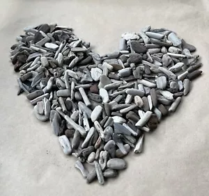 100 Tiny Driftwood Pieces Under 2" - Beach Wood Craft Supply Lot - Decor, DIY - Picture 1 of 5