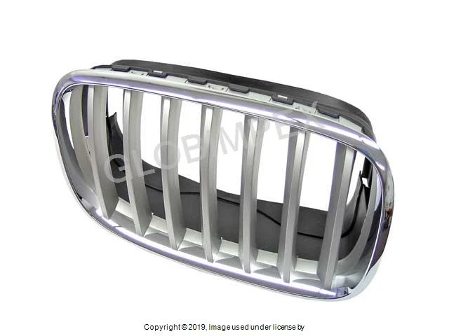 BMW X5 X6 2007-2012 Parrilla-Marco Cromo con Rejilla Titanio DELANTERA DERECHA GENUINO Foto 1 de 1