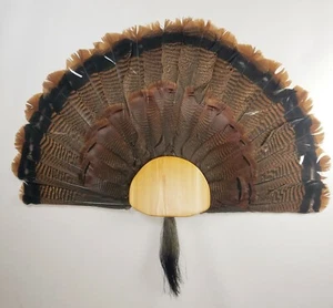 Turkey Fan and Beard mounting kit (Select Cedar) - Picture 1 of 3