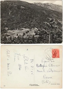 CAMALDOLI - AREZZO - METALETO - VIVAIO - VIAGG. 1955 -6031- - Foto 1 di 1