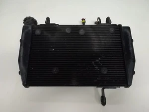 RADIATORE DUCATI HYPERSTRADA 821 13.452 KM  - Imagen 1 de 5