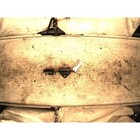 INNER DOOR HANDLE RENAULT KANGOO (08-13) 1.5 DCI (63KW) D/1461CC 2008