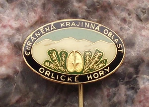 Vintage Eagle Mountains Orlicke Hory Bohemia Protected National Park Pin Badge - Picture 1 of 3