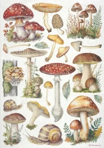 Stamperia A4 Rice Paper for Decoupage - ''Mushrooms'' - Nature-Inspired Botanica - Picture 1 of 1