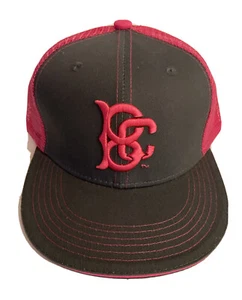 Brooklyn Cyclones Cancer Night Baseball Hat Cap SGA Mets MiLB Team NEW - Picture 1 of 4
