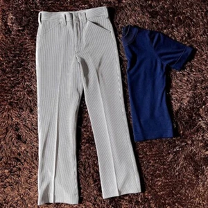 VTG 60/70s Higgins Sebring Slacks pinstripe navy blue and white Slacks 29” - Picture 1 of 8