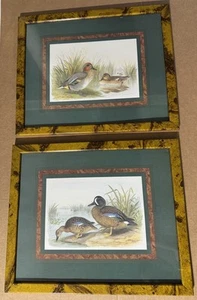Vintage Henry Jones gerahmter Druck Kunst hängendes Bild Stockente & türkisfarbene Enten Vögel - Bild 1 von 10